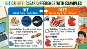Bit or Bite